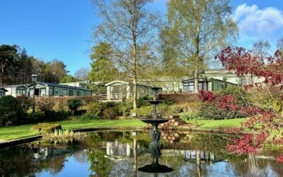 Easy Sunday Mornings