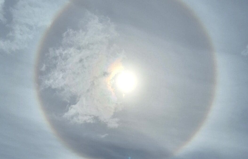 Solar Halo Views