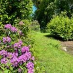 Forest Park Month of May