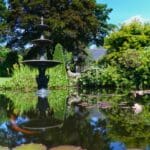 Tranquil park water feature tiered fountain lily pads