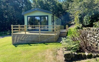NEWLY REDUCED… Swift Bordeaux