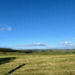 July 3 | Warren Forest