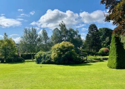 Social prep Landscape