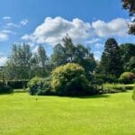 July Social Prep 1 | Warren Forest