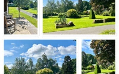 Looking Forward to the Summer Social