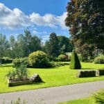 July Social Prep 5 | Warren Forest