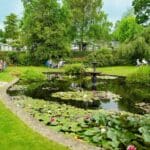 Warren Forest Park Lake