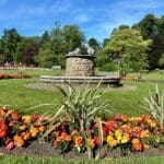 Valley Gardens 2 | Warren Forest Park