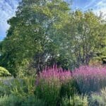 Valley Gardens 3 | Warren Forest Park