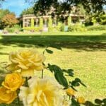 Valley Gardens 7 | Warren Forest Park