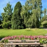 Valley Gardens 8 | Warren Forest Park