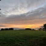 Open grassy field with a vibrant sunset and dramatic clouds in the sky