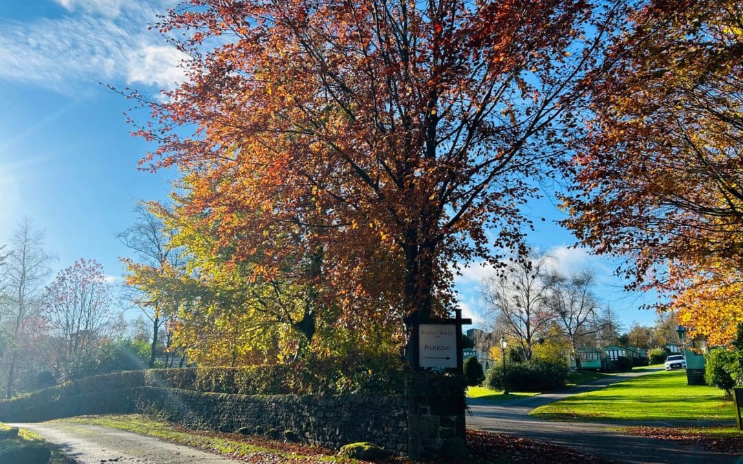 Autumn Colours