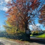 Sunlit autumn trees with red and yellow leaves by a country road