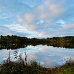 Calm lake reflecting trees and a cloudy sky in an autumn landscape