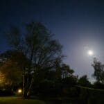 A peaceful moonlit night over a luxury holiday home garden