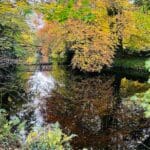 Colourful autumn foliage reflecting in a serene river