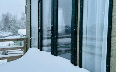 A Snowy Start to 2025