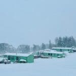 A view of a snow-covered holiday park with a row of green cabins nestled among snow-laden trees.