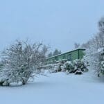 Winter scene at Warren Forest