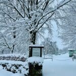 A winter scene with a parking sign
