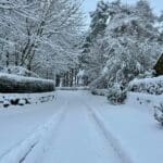 A tranquil winter scene with a snow-covered path