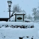 A picturesque winter scene at Warren Forest