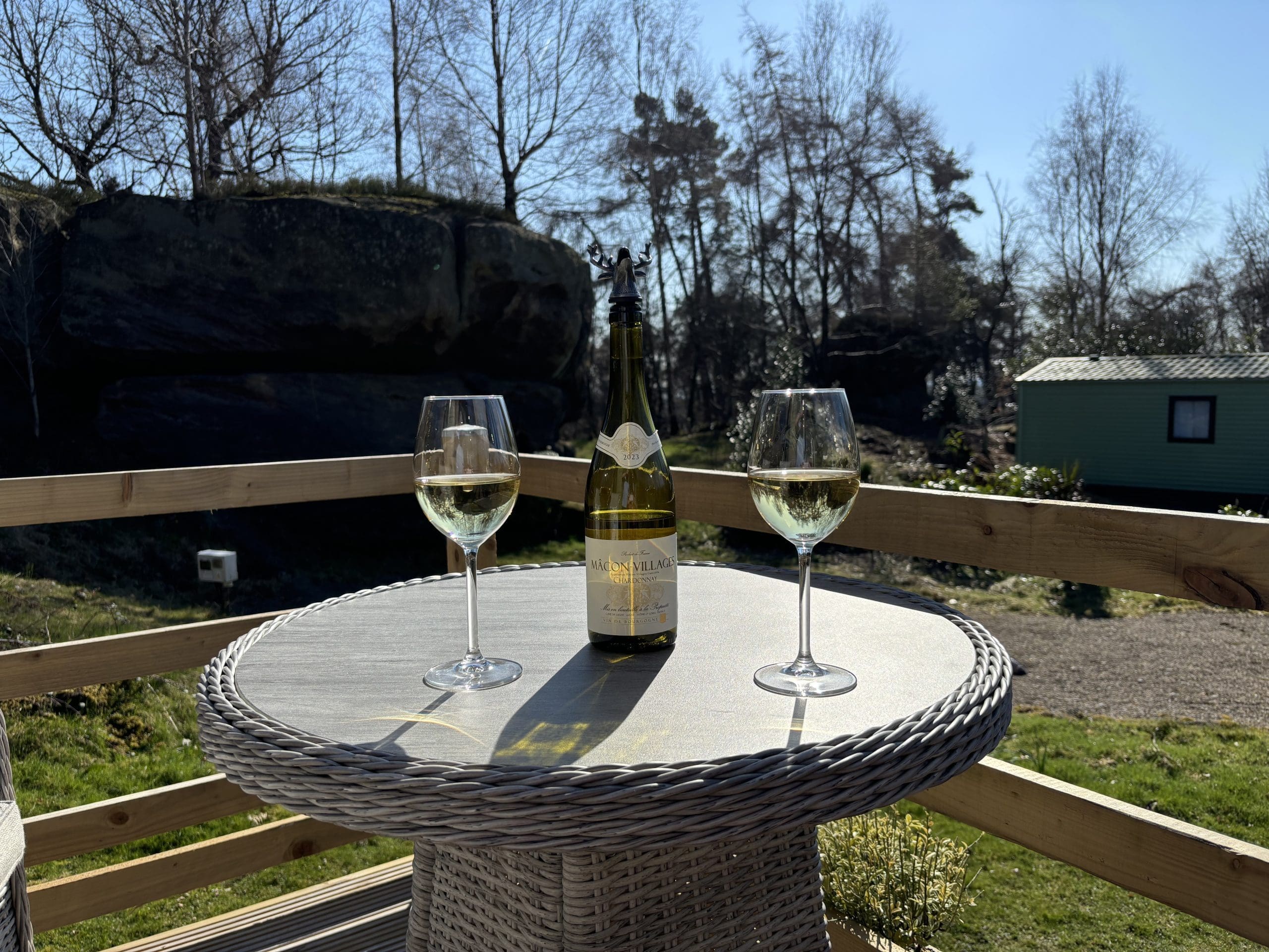 Having wine and glasses in the deck | Warren Forest Park