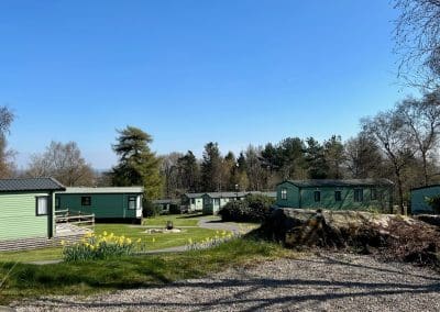 New Pitches Available for 2025 Lodges - Image 5 | Warren Forest Park