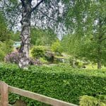 FOR SALE - Willerby Lyndhurst 3 The Beeches | Warren Forest Park