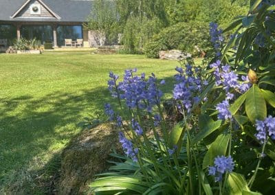 Bluebells in the foreground with the May Library in the background at Warren Forest Park