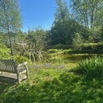 Wooden bench by a pond.