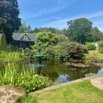 A garden with a pond, fountain, and greenery