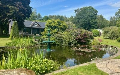 Fountains & Bandstands