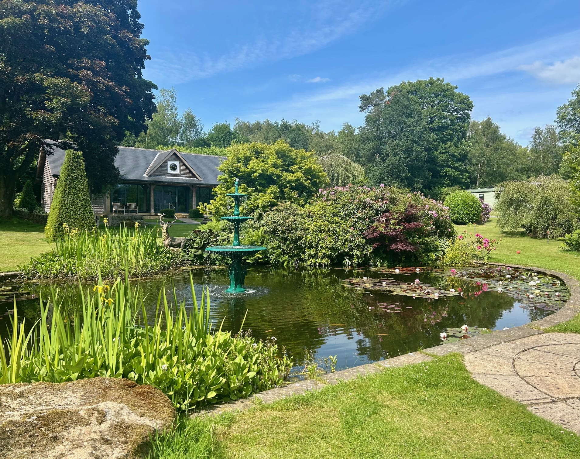 A garden with a pond, fountain, and greenery