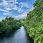 A river surrounded by trees under a blue sky in Pateley Bridge