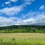 Scenic countryside view from Warren Forest Park with rolling hills