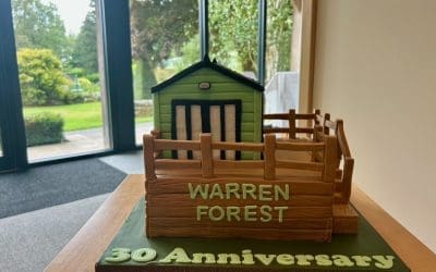 Summer Social Celebration