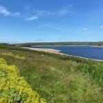Grassy shoreline of Grimwith Reservoir at Warren Forest Park