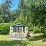 Holiday home surrounded by trees at Warren Forest Park
