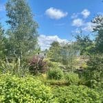 View of greenery and holiday homes at Warren Forest Park