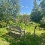 Bench by a pond surrounded by greenery at Warren Forest Park