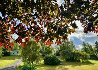 Autumn foliage framing a scenic view of Warren Forest Park