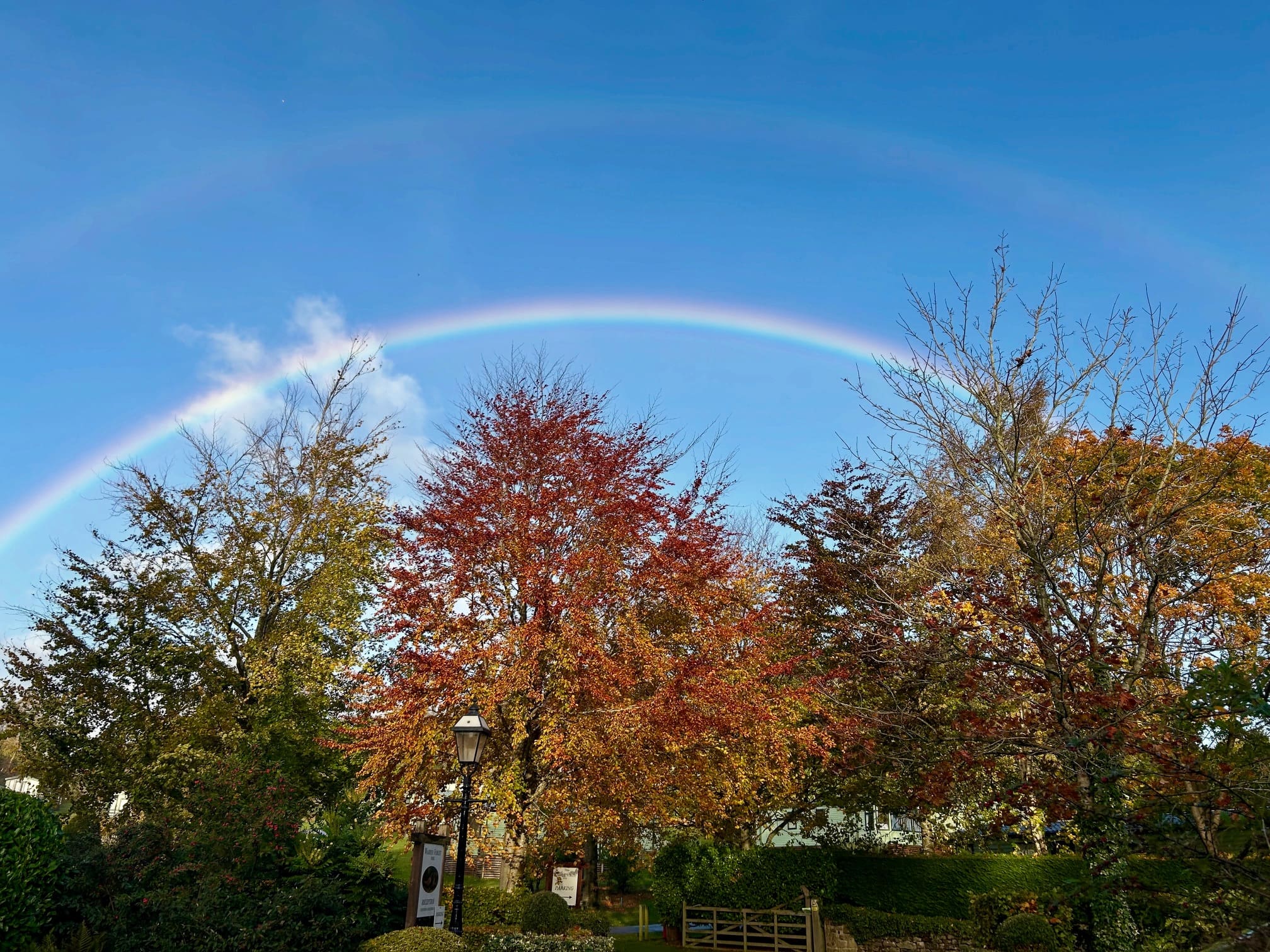 Rainbow over Warren Forest Park