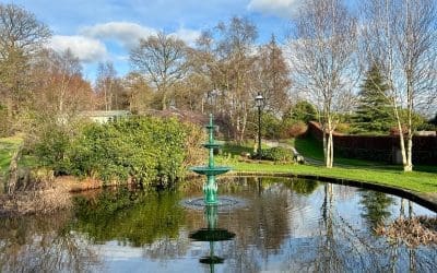 Reflections-What Our Customers Say…