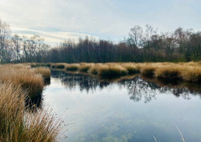 Brimham Dipping Ponds
