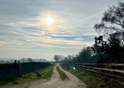 Paths Across the Moor