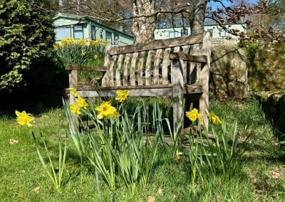 Rest Amid the Daffodils