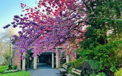 A Spotlight on Harrogate