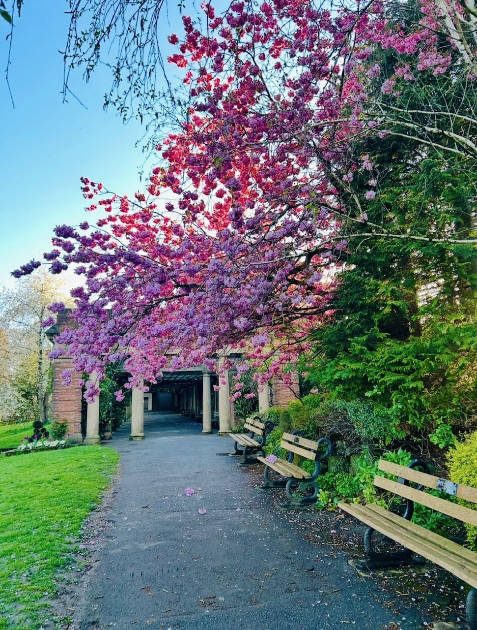 A Spotlight on Harrogate